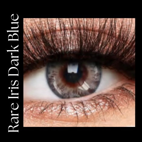 Rare Iris Dark Blue