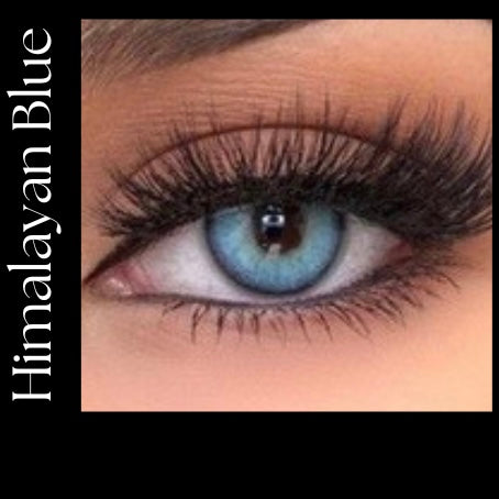 Himalayan Blue